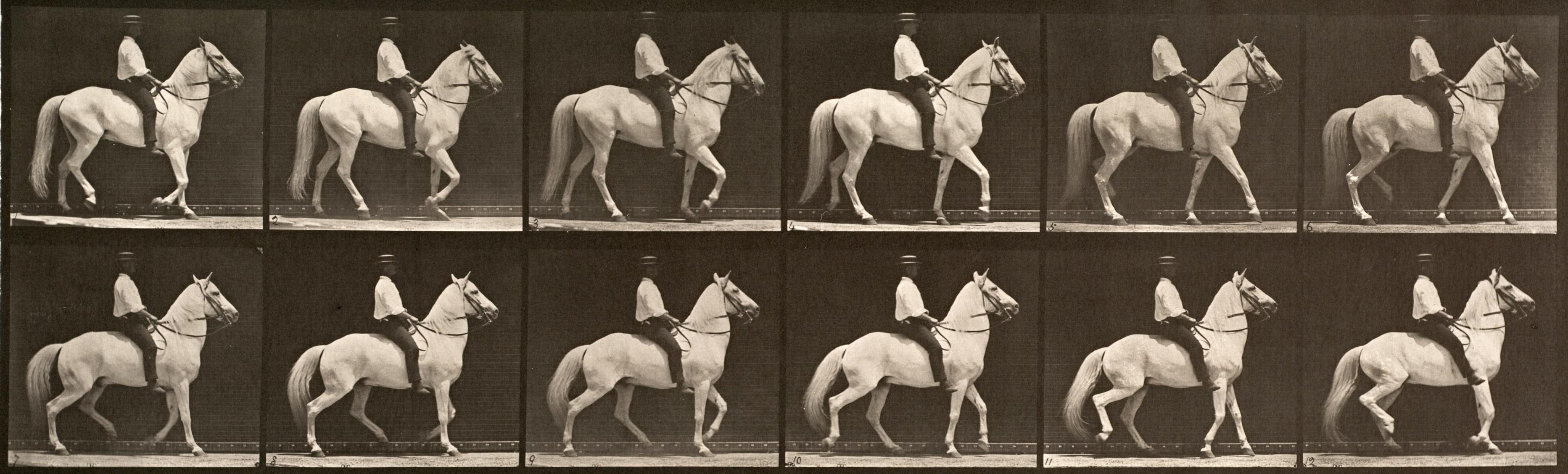 Eadweard Muybridge Black and White Photograph - Human and Animal Locomotion. Plate 577.
