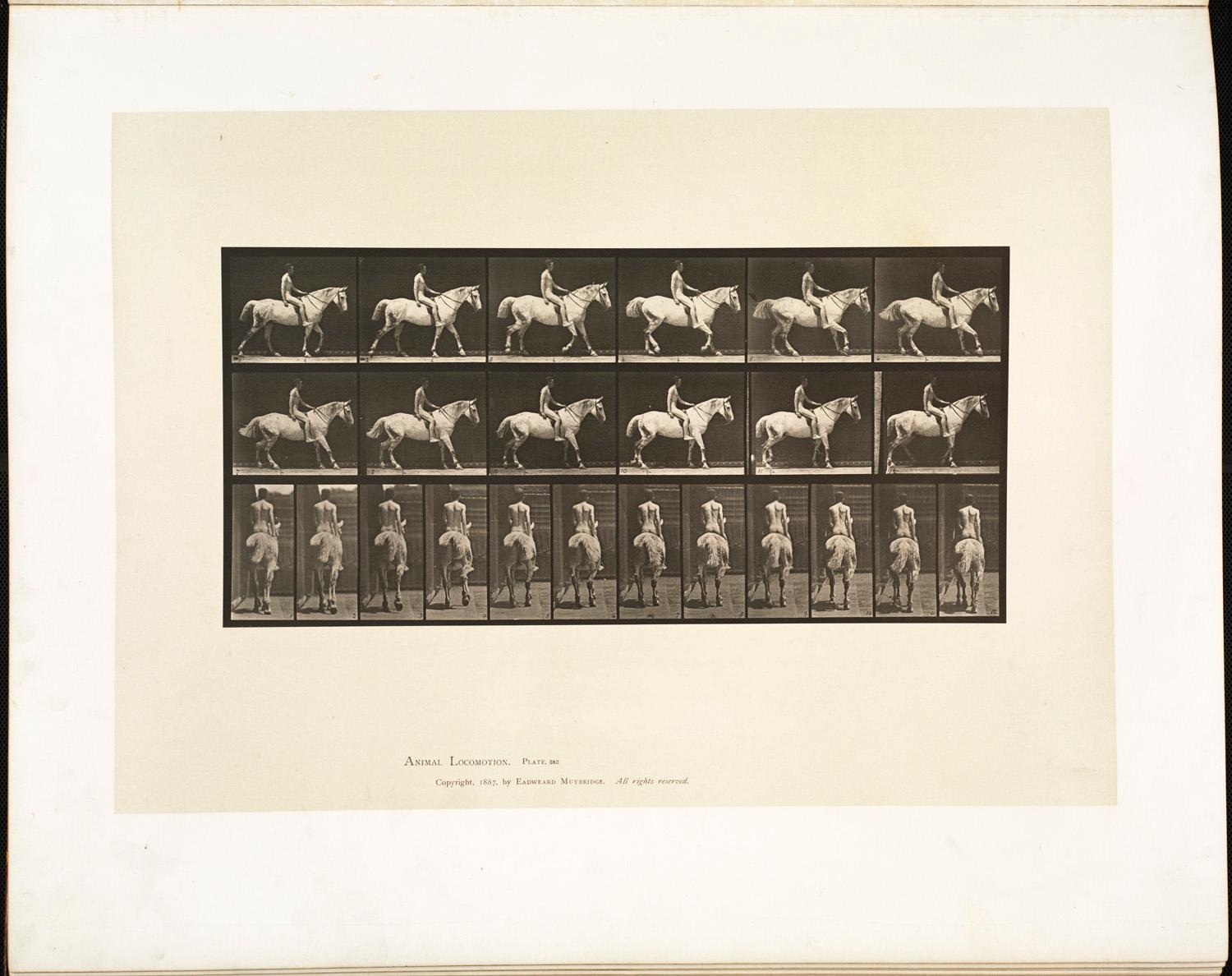 Eadweard Muybridge Figurative Photograph – Menschliche und tierische Fortbewegung. Tafel 582.