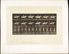 Used Human and Animal Locomotion. Plate 582.