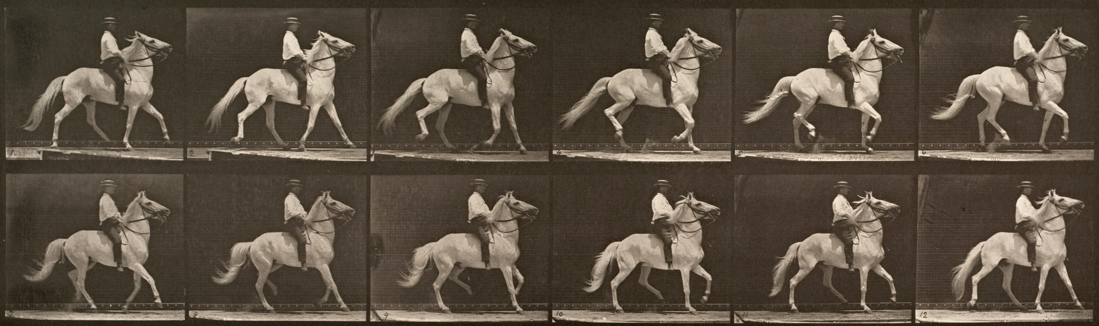 Eadweard Muybridge Figurative Photograph - Human and Animal Locomotion. Plate 589.