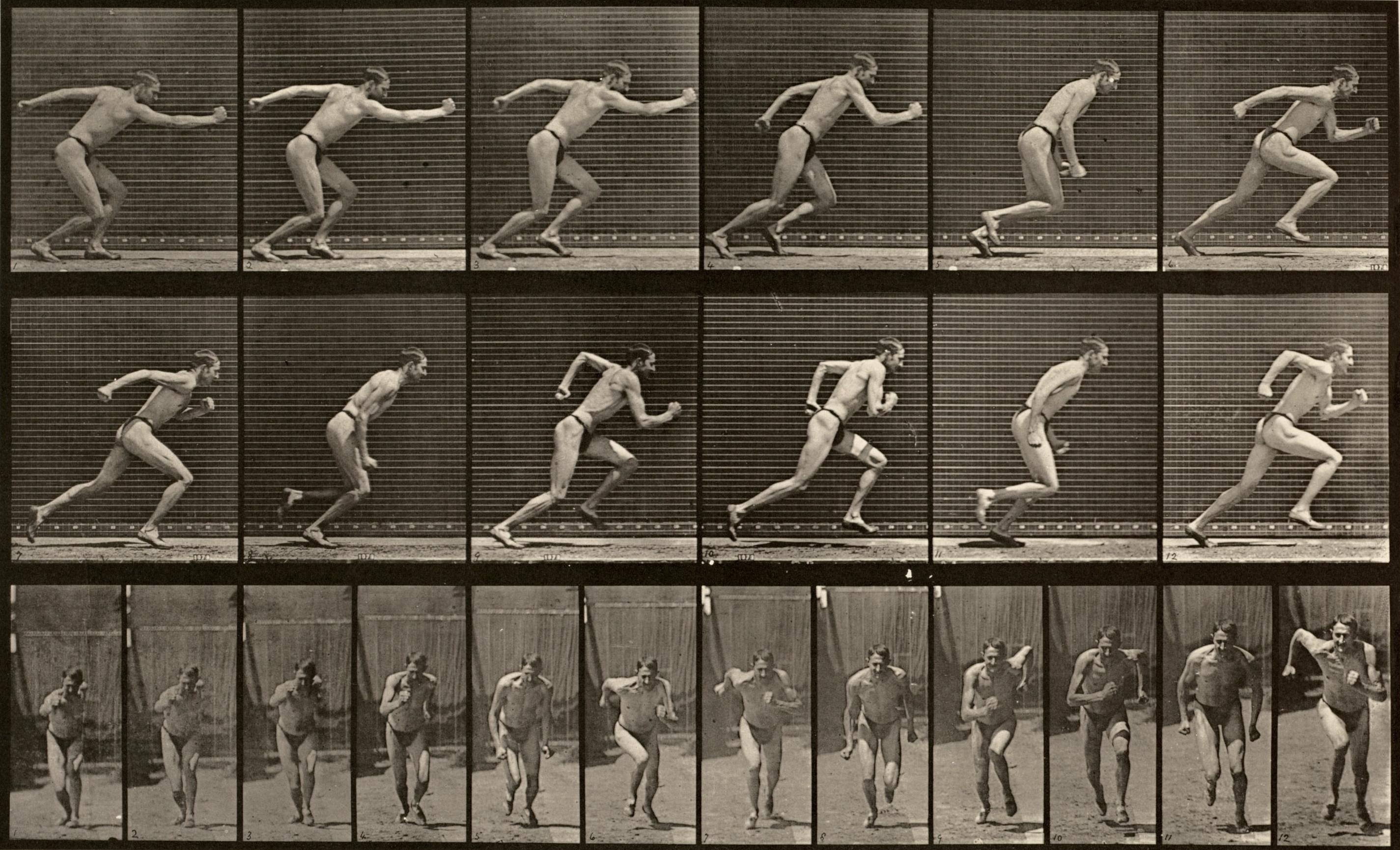 Eadweard Muybridge Figurative Photograph - Human and Animal Locomotion. Plate 59.
