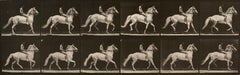 Human and Animal Locomotion. Plate 590.