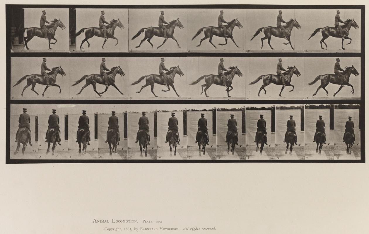 Eadweard Muybridge Figurative Photograph – Menschliche und tierische Fortbewegung. Tafel 592.