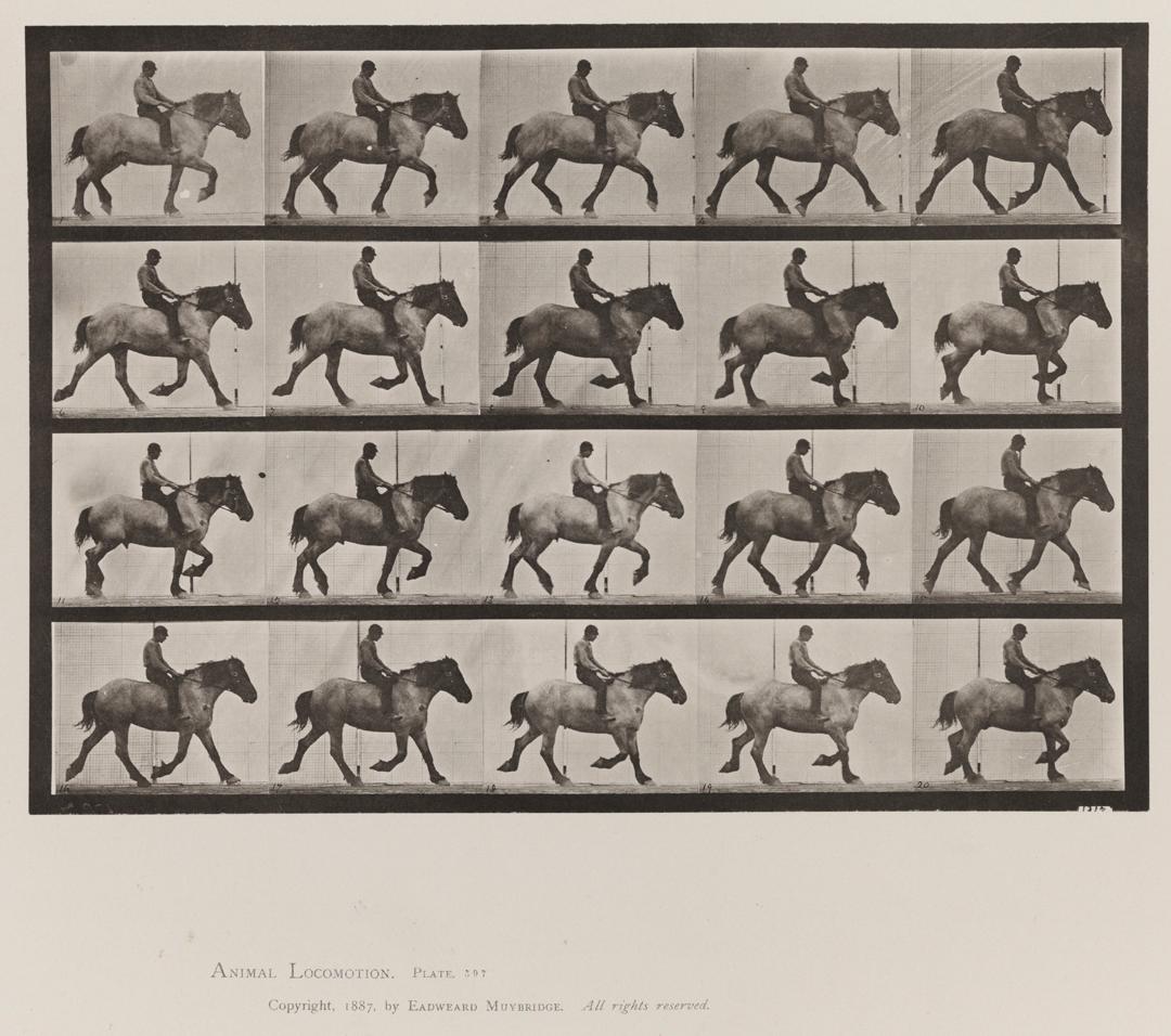 Eadweard Muybridge Black and White Photograph - Human and Animal Locomotion. Plate 597.