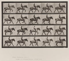 Antique Human and Animal Locomotion. Plate 597.