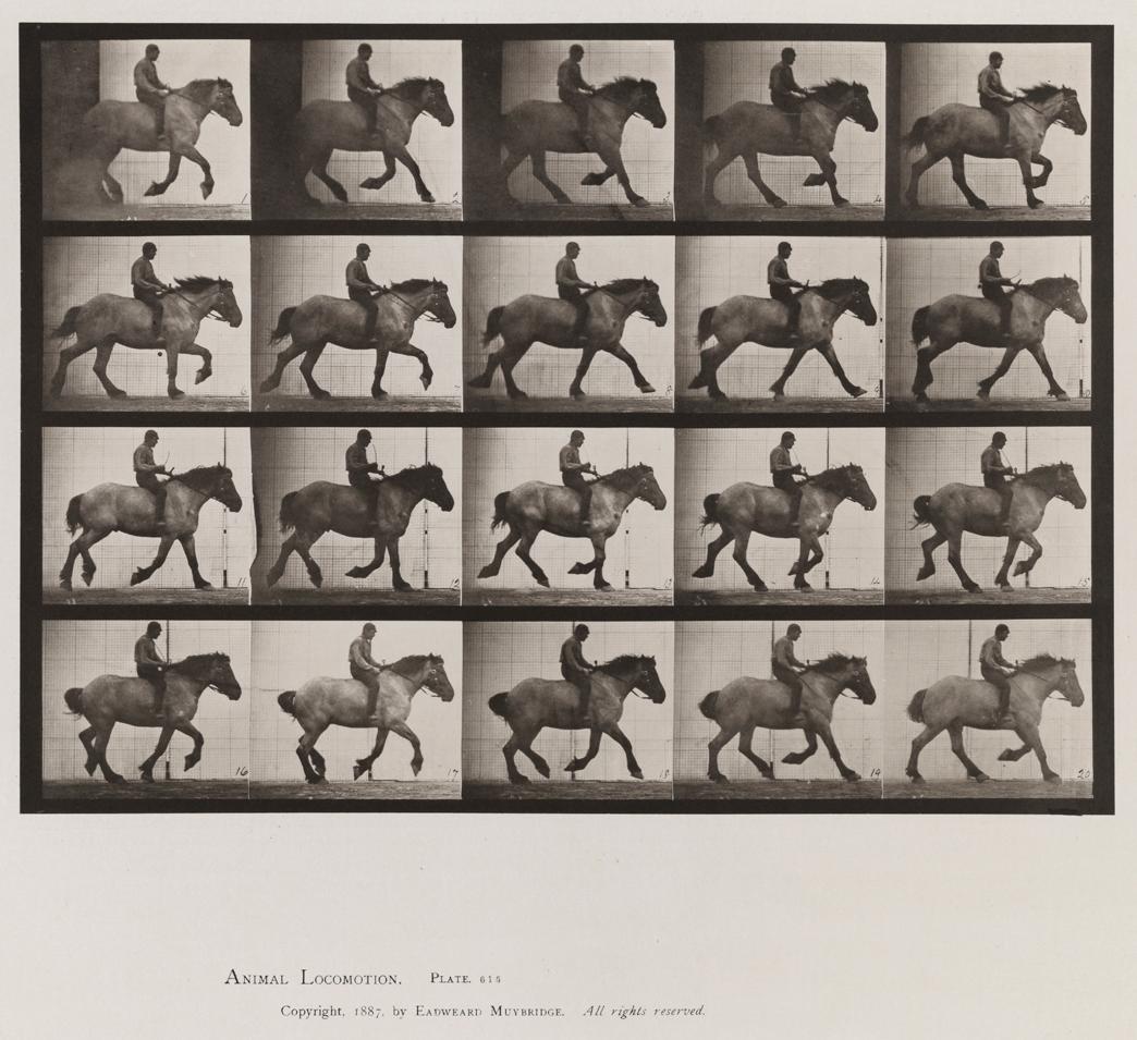 Eadweard Muybridge Black and White Photograph - Human and Animal Locomotion. Plate 615.