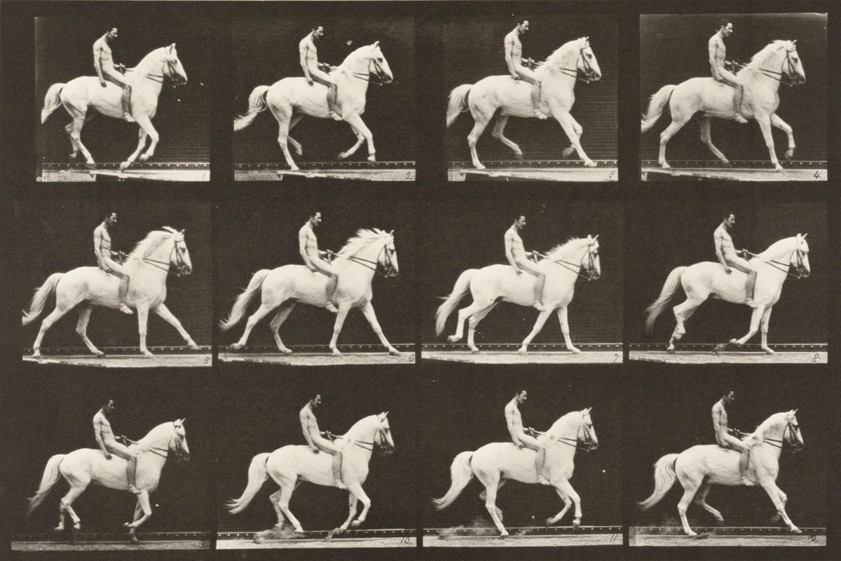 Caballo Fotografía figurativa