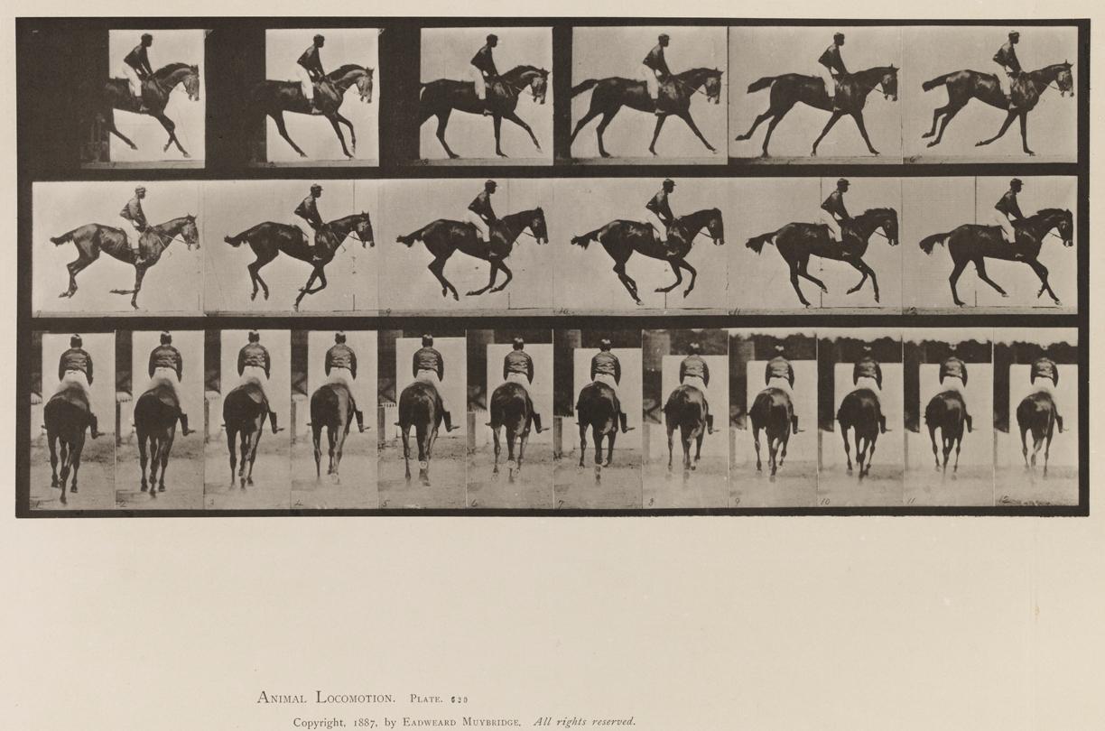 Eadweard Muybridge Black and White Photograph - Human and Animal Locomotion. Plate 620.