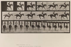 Human and Animal Locomotion. Plate 620.