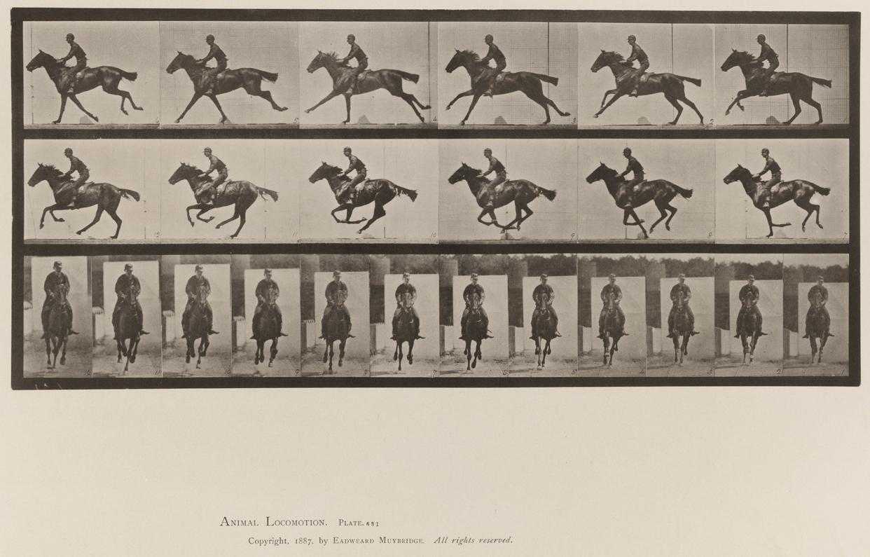 Eadweard Muybridge Black and White Photograph - Human and Animal Locomotion. Plate 631.