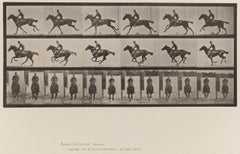 Antique Human and Animal Locomotion. Plate 631.