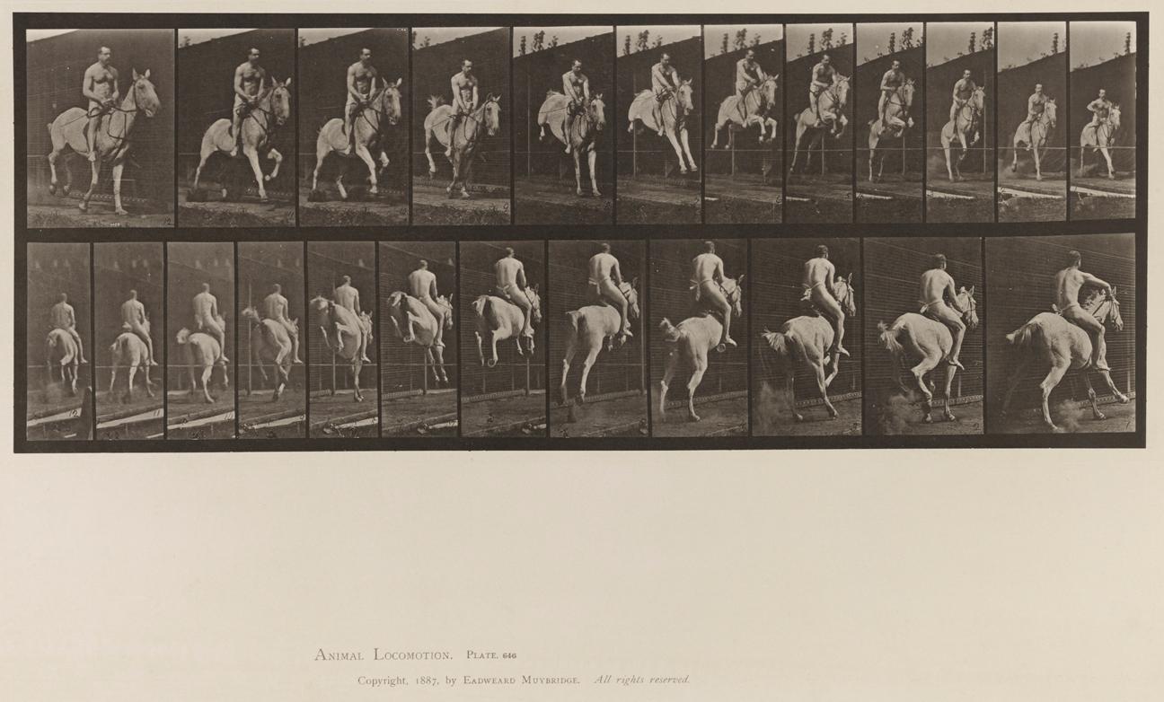 Eadweard Muybridge Figurative Photograph – Menschliche und tierische Fortbewegung. Tafel 646.