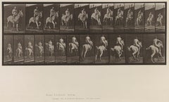Antique Human and Animal Locomotion. Plate 646.