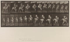 Human and Animal Locomotion. Plate 646.