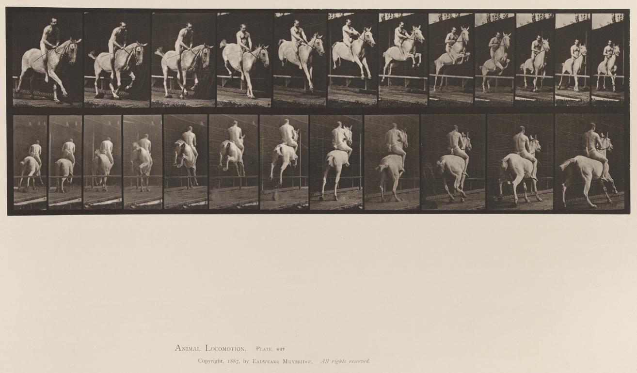 Eadweard Muybridge Black and White Photograph - Human and Animal Locomotion. Plate 647.