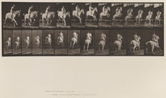 Antique Human and Animal Locomotion. Plate 647.