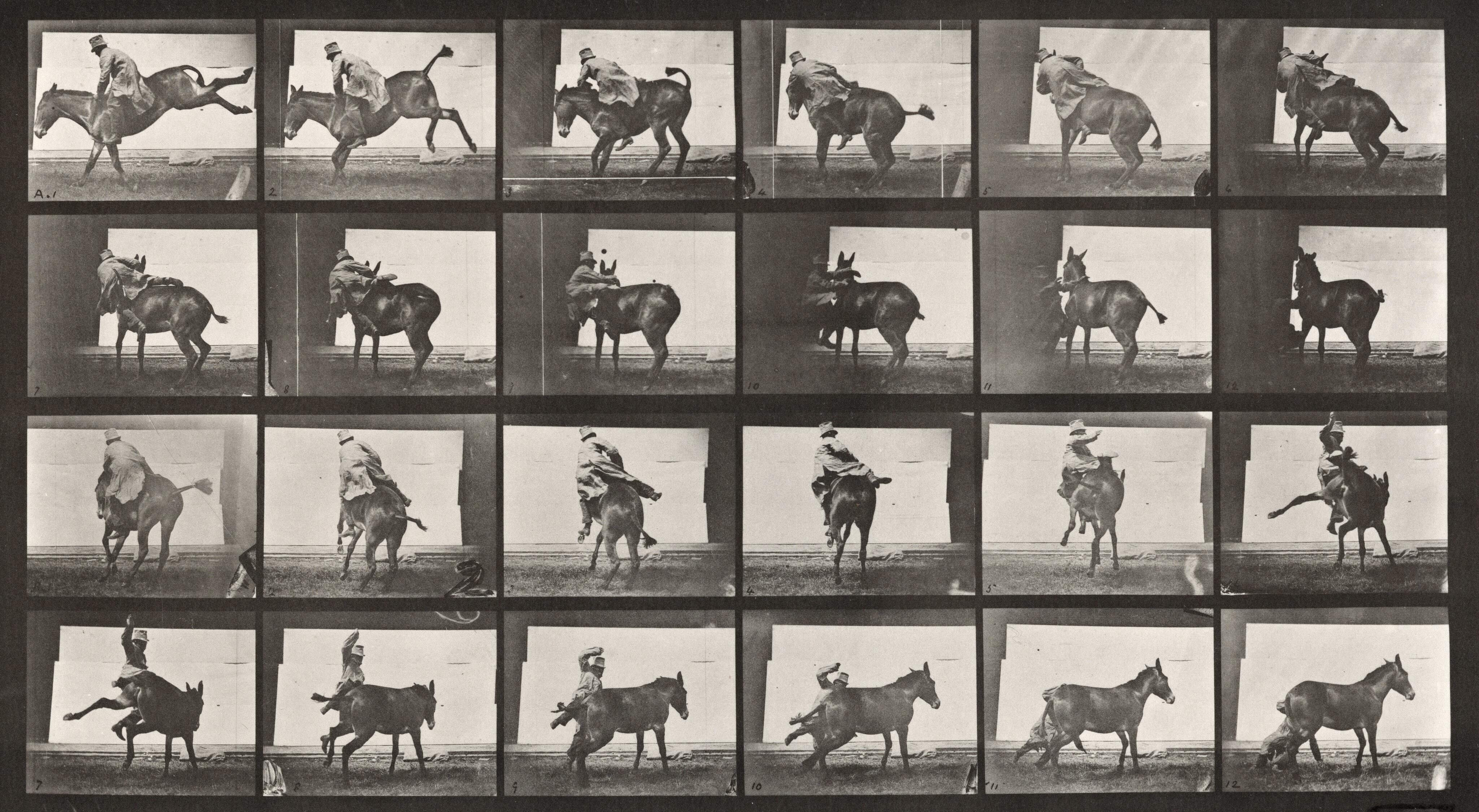 Locomotion - Homme et animal. Planche 661.