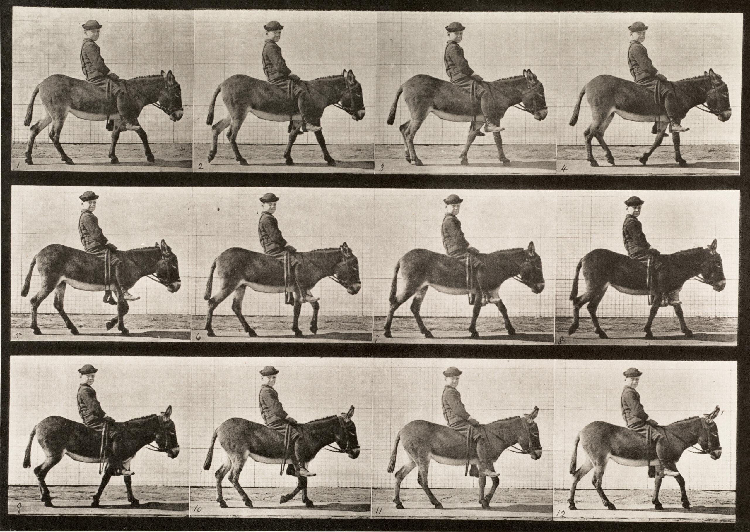 Black and White Photograph de Eadweard Muybridge - Locomoción humana y animal. Placa 665.