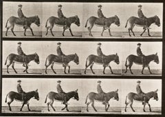 Human and Animal Locomotion. Plate 665.