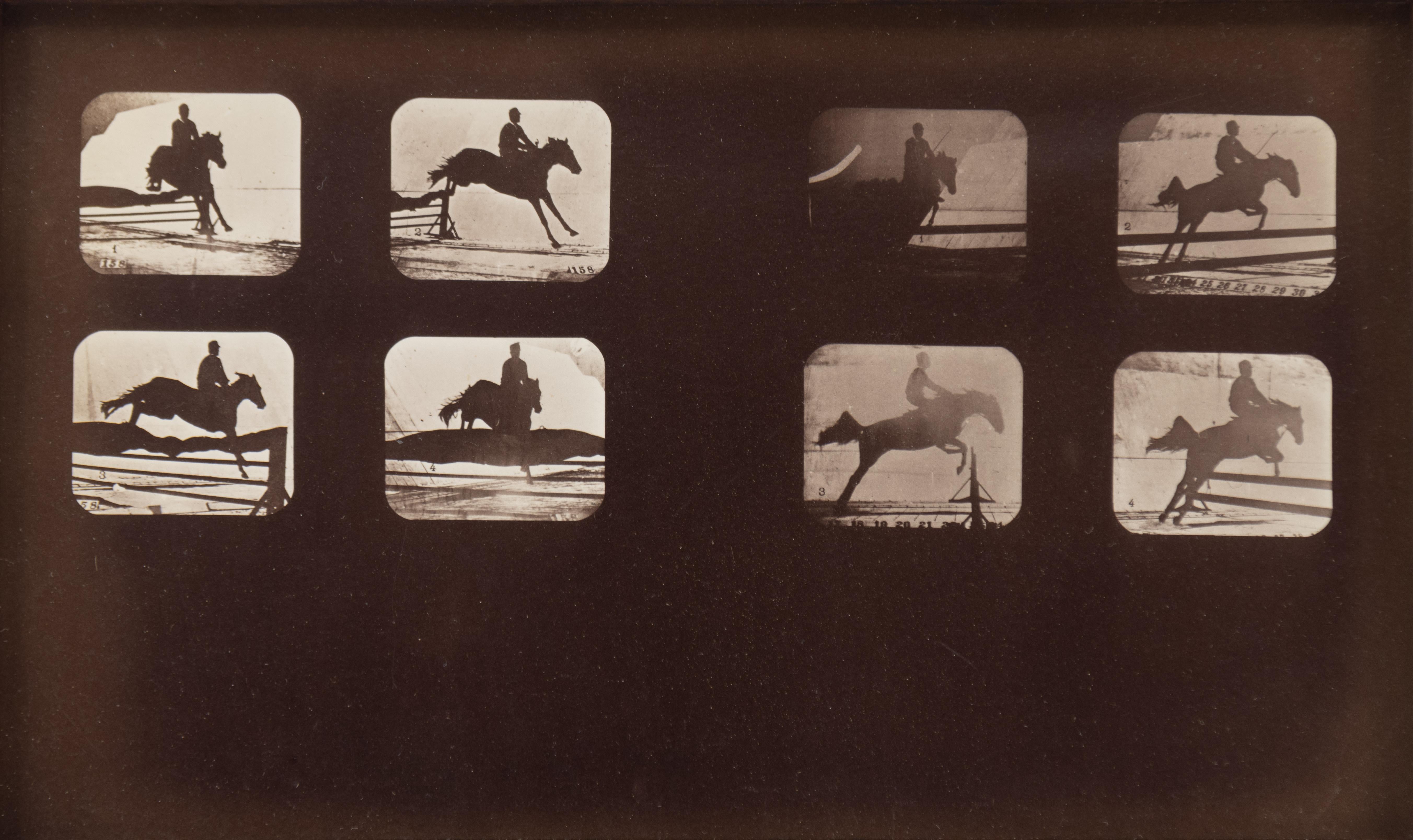 Eadweard Muybridge Black and White Photograph - Phyrne L., leaping (Running Horse and Rider)