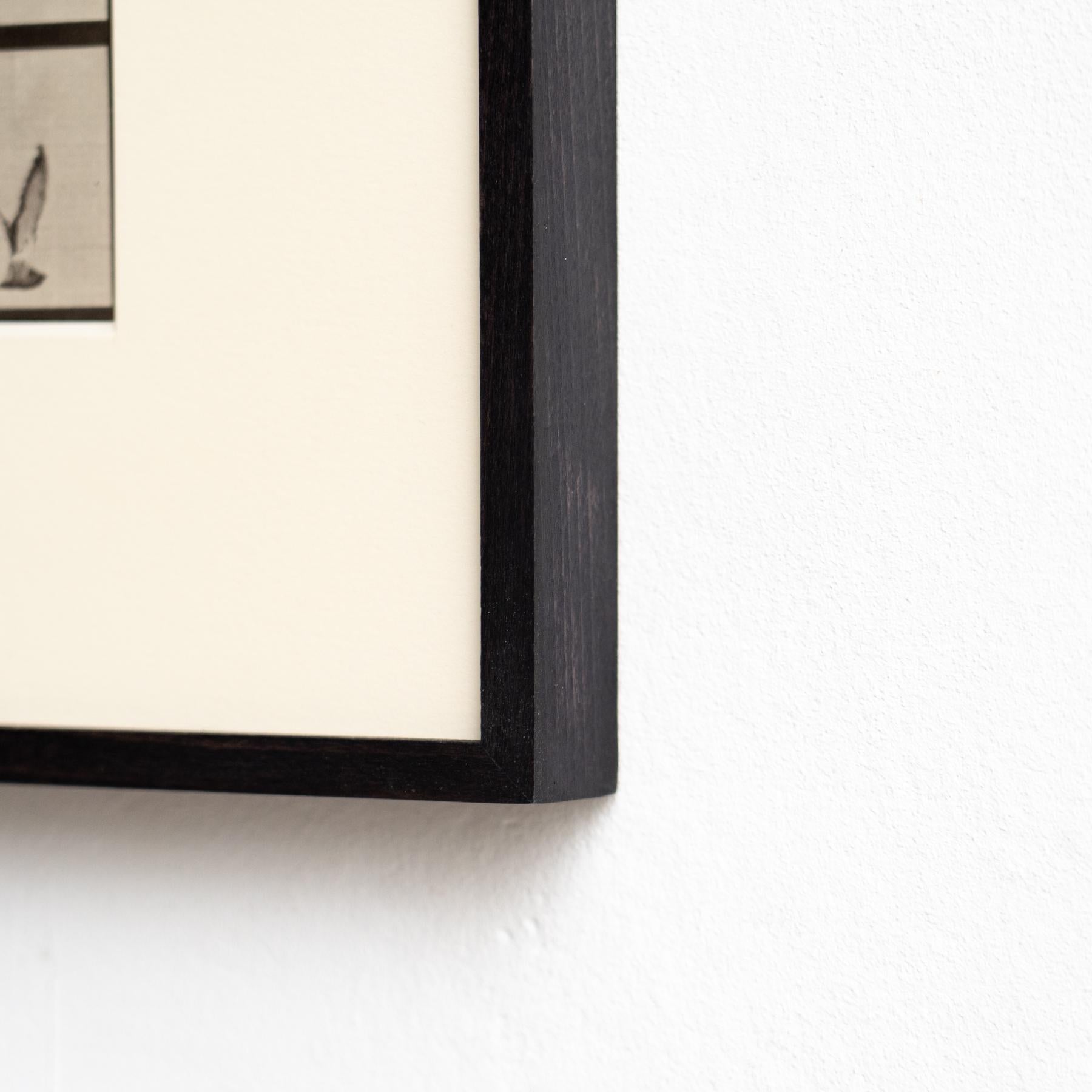 Eadweard Muybridge Gerahmte Schwarz-Weiß-Fotografie - Vogel in Bewegung Studie (Papier) im Angebot