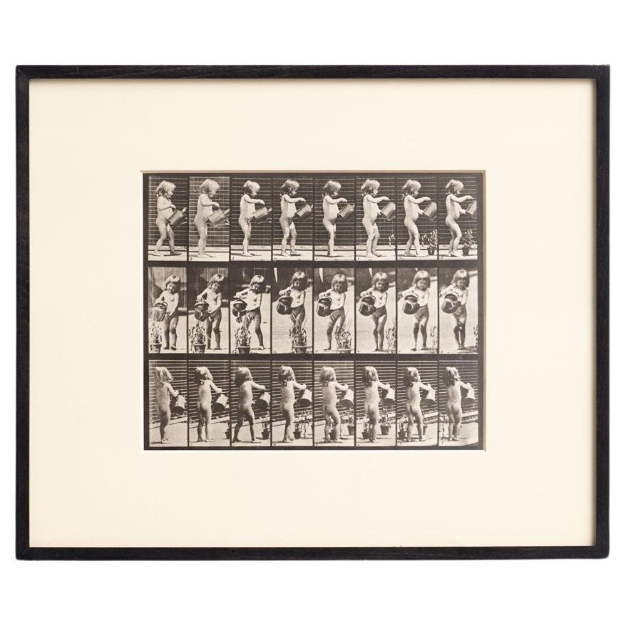 Eadweard Muybridge Photographie encadrée en noir et blanc