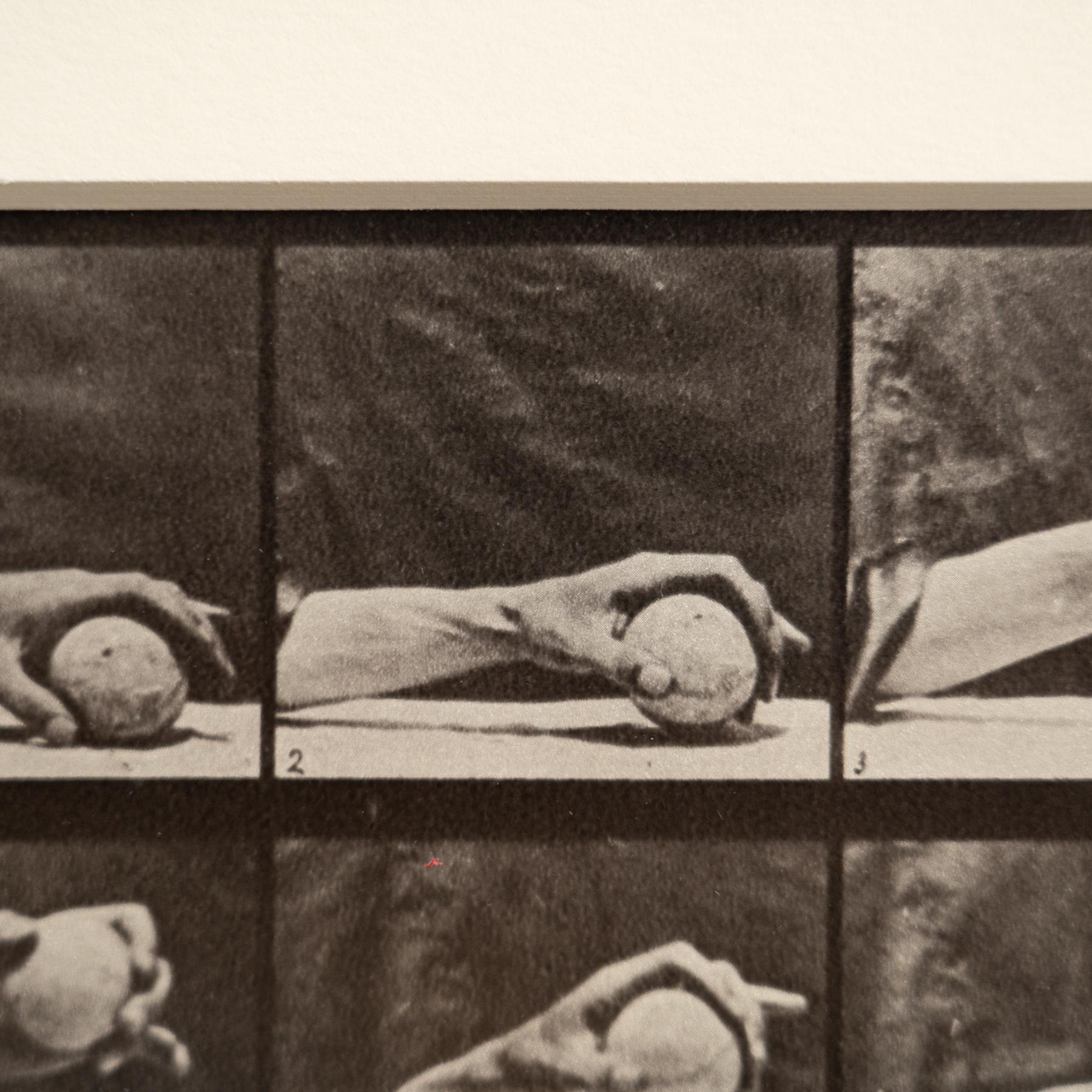 Eadweard Muybridge Framed Black and White Photography -Hand with Ball Movement For Sale 3