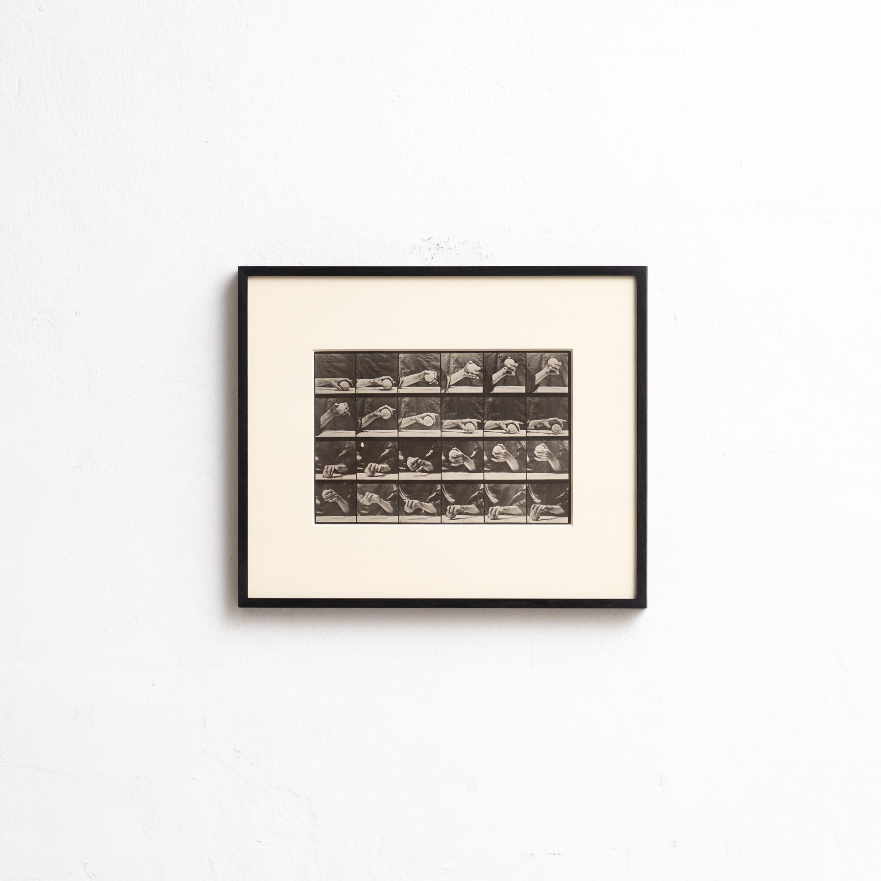 Explore the pioneering work of Eadweard Muybridge with this framed black and white photograph, capturing his meticulous study of the movement of a hand with a ball on top of a table. This photograph, printed in heliogravure, is part of a limited