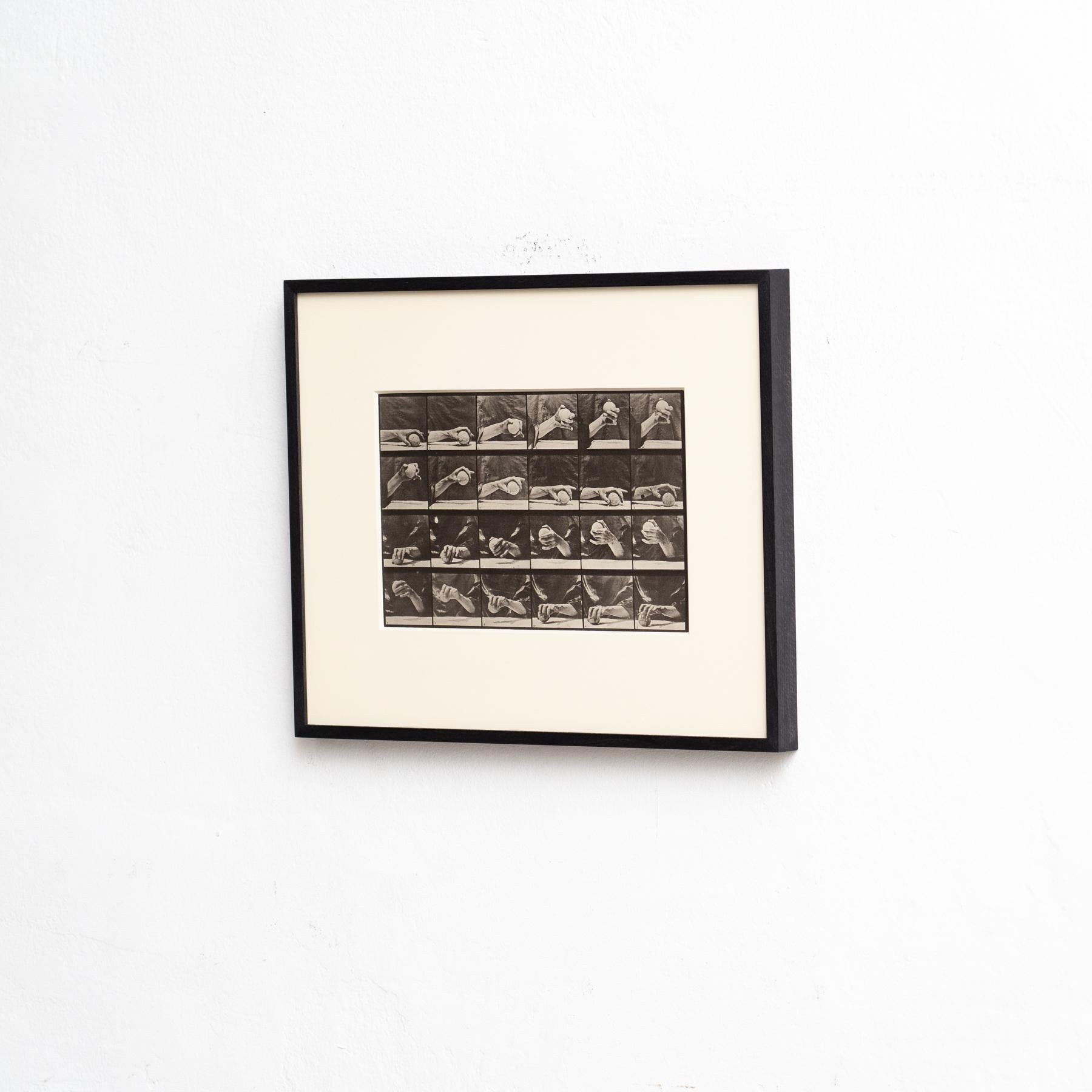Mid-Century Modern Eadweard Muybridge Framed Black and White Photography -Hand with Ball Movement For Sale