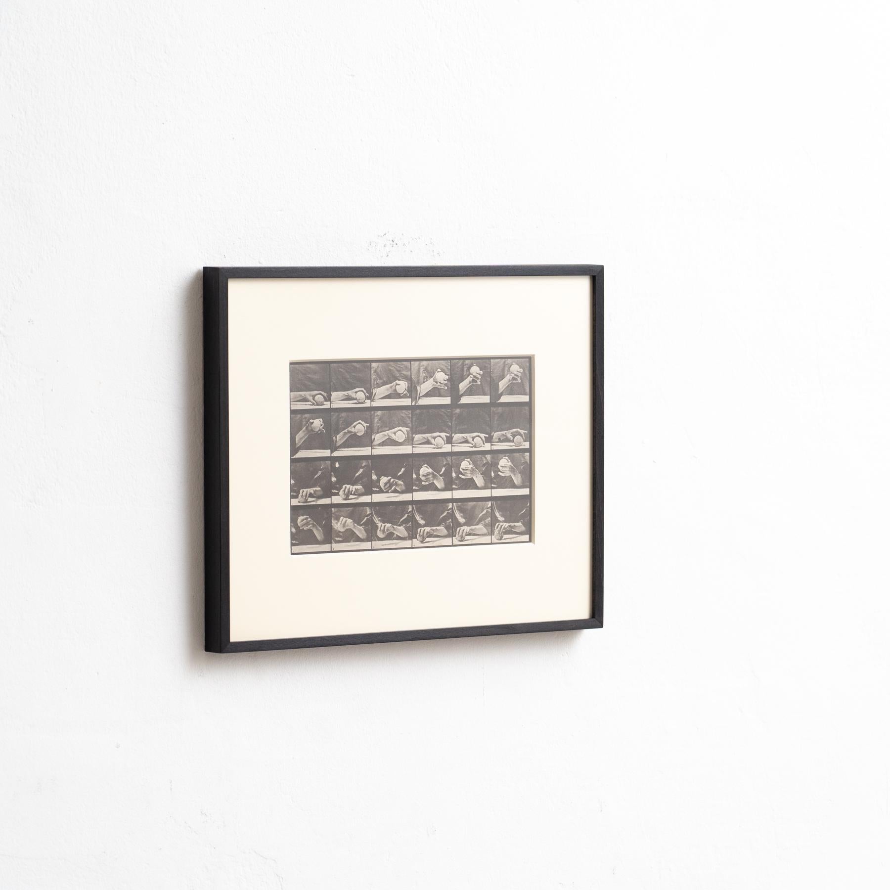 Italian Eadweard Muybridge Framed Black and White Photography -Hand with Ball Movement For Sale