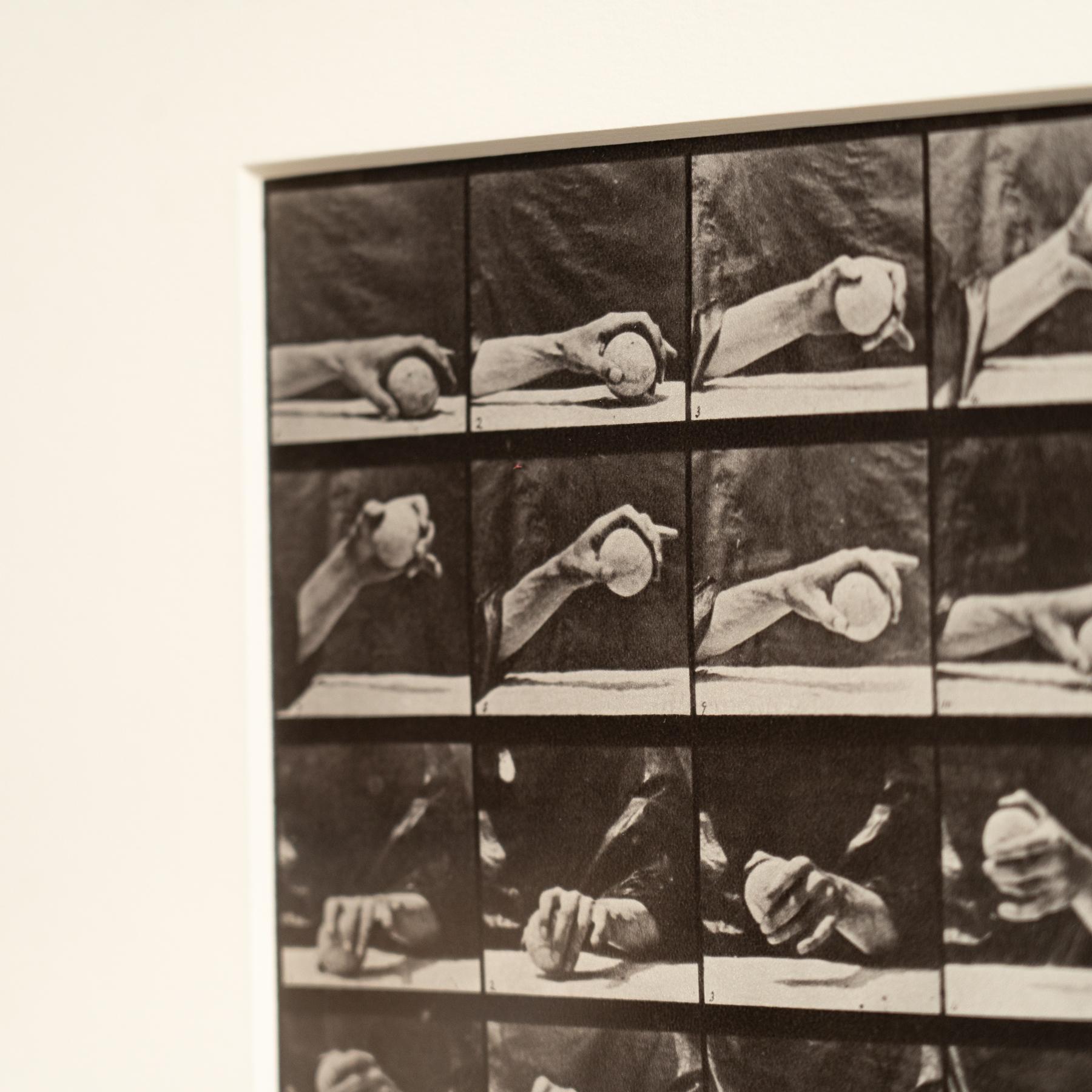 Paper Eadweard Muybridge Framed Black and White Photography -Hand with Ball Movement For Sale