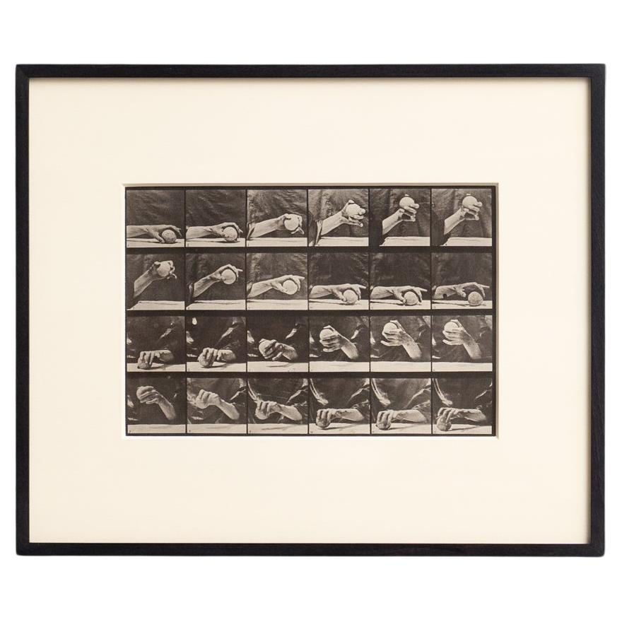 Fotografia in bianco e nero di Eadweard Muybridge con cornice -Mano con movimento della palla