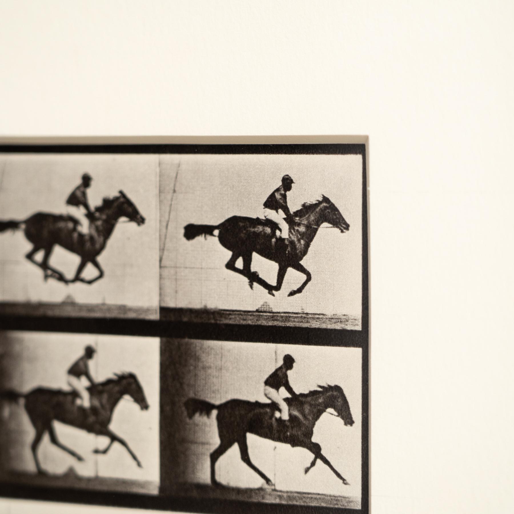 Fotografia in bianco e nero di Eadweard Muybridge con cornice - Studio di un cavallo in movimento in vendita 3