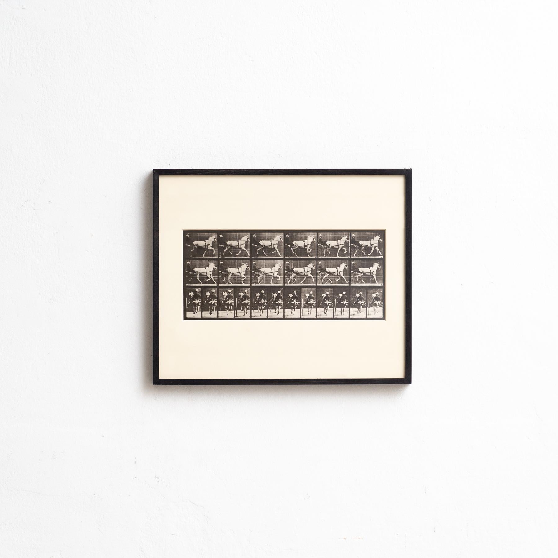 Esplora il lavoro pionieristico di Eadweard Muybridge con questa fotografia in bianco e nero incorniciata, che immortala il suo iconico studio di un cavallo in movimento. Questa fotografia, stampata in eliografia, fa parte di un'edizione limitata di
