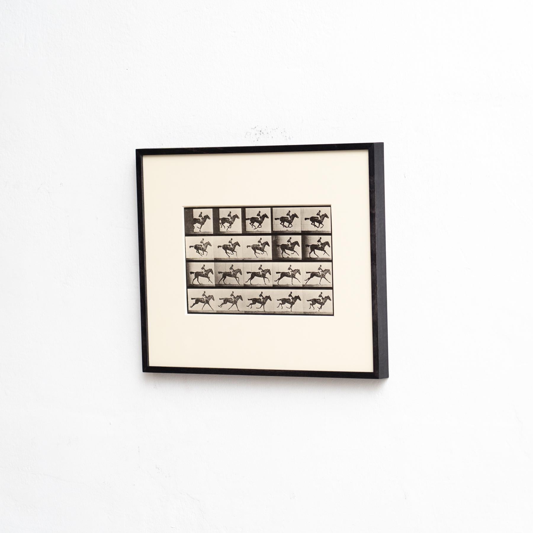 Mid-Century moderno Fotografia in bianco e nero di Eadweard Muybridge con cornice - Studio di un cavallo in movimento in vendita