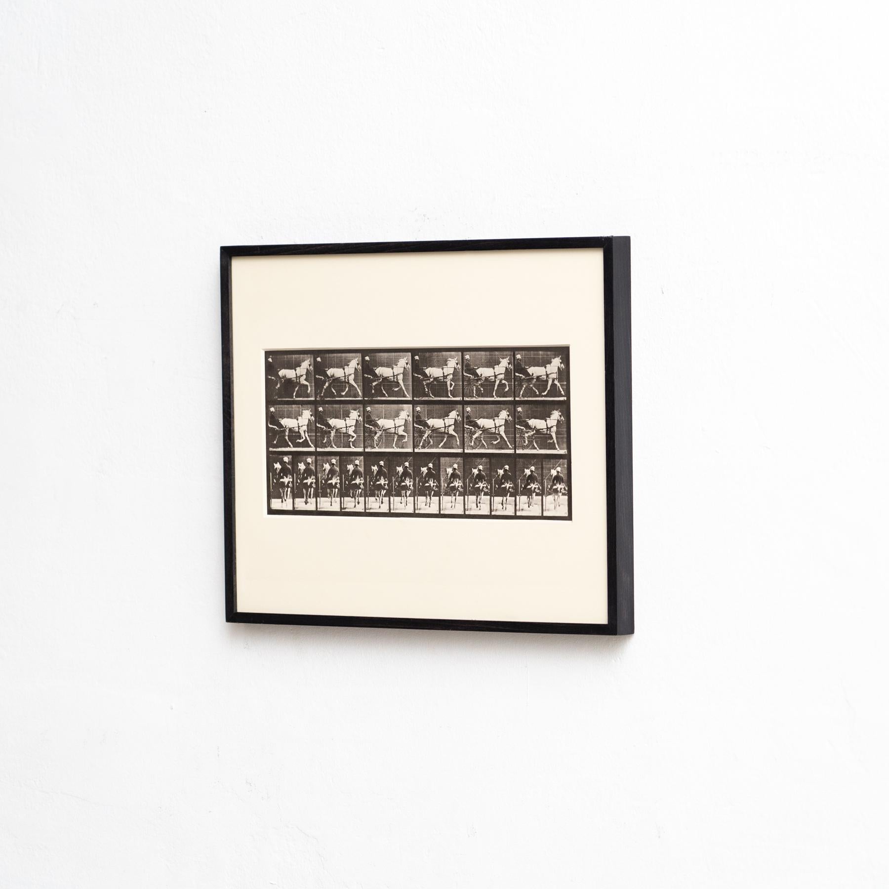 Mid-Century moderno Fotografia in bianco e nero di Eadweard Muybridge con cornice - Studio di un cavallo in movimento in vendita