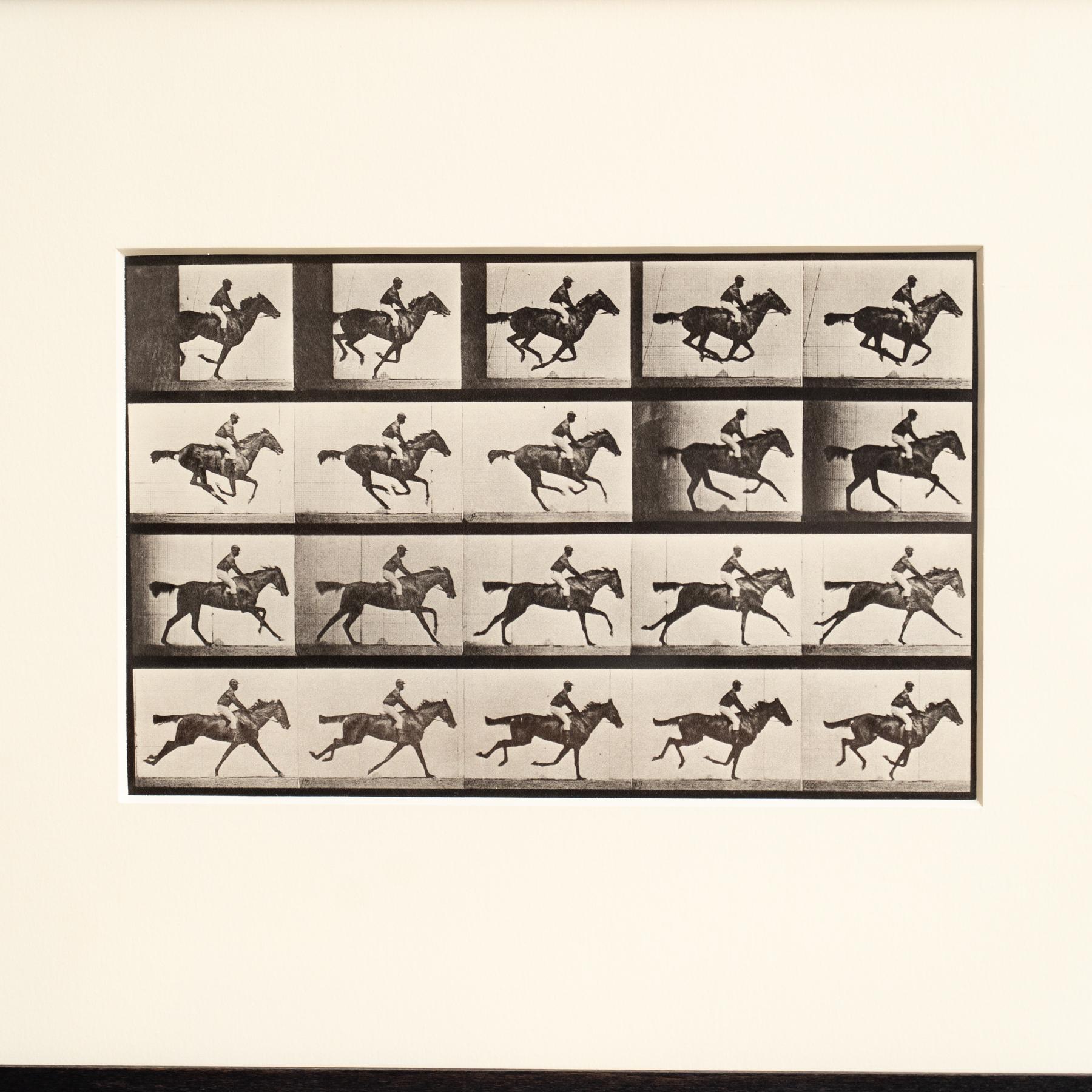 Fotografia in bianco e nero di Eadweard Muybridge con cornice - Studio di un cavallo in movimento In condizioni buone in vendita a Barcelona, Barcelona