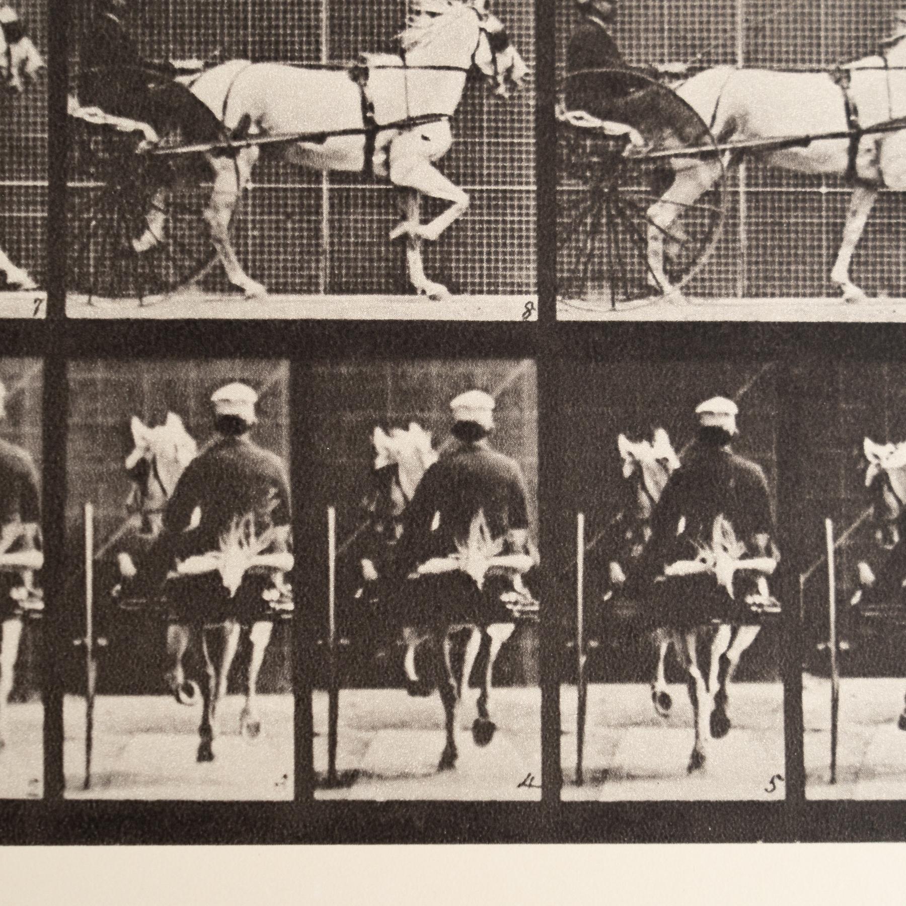 Fotografia in bianco e nero di Eadweard Muybridge con cornice - Studio di un cavallo in movimento In condizioni buone in vendita a Barcelona, Barcelona