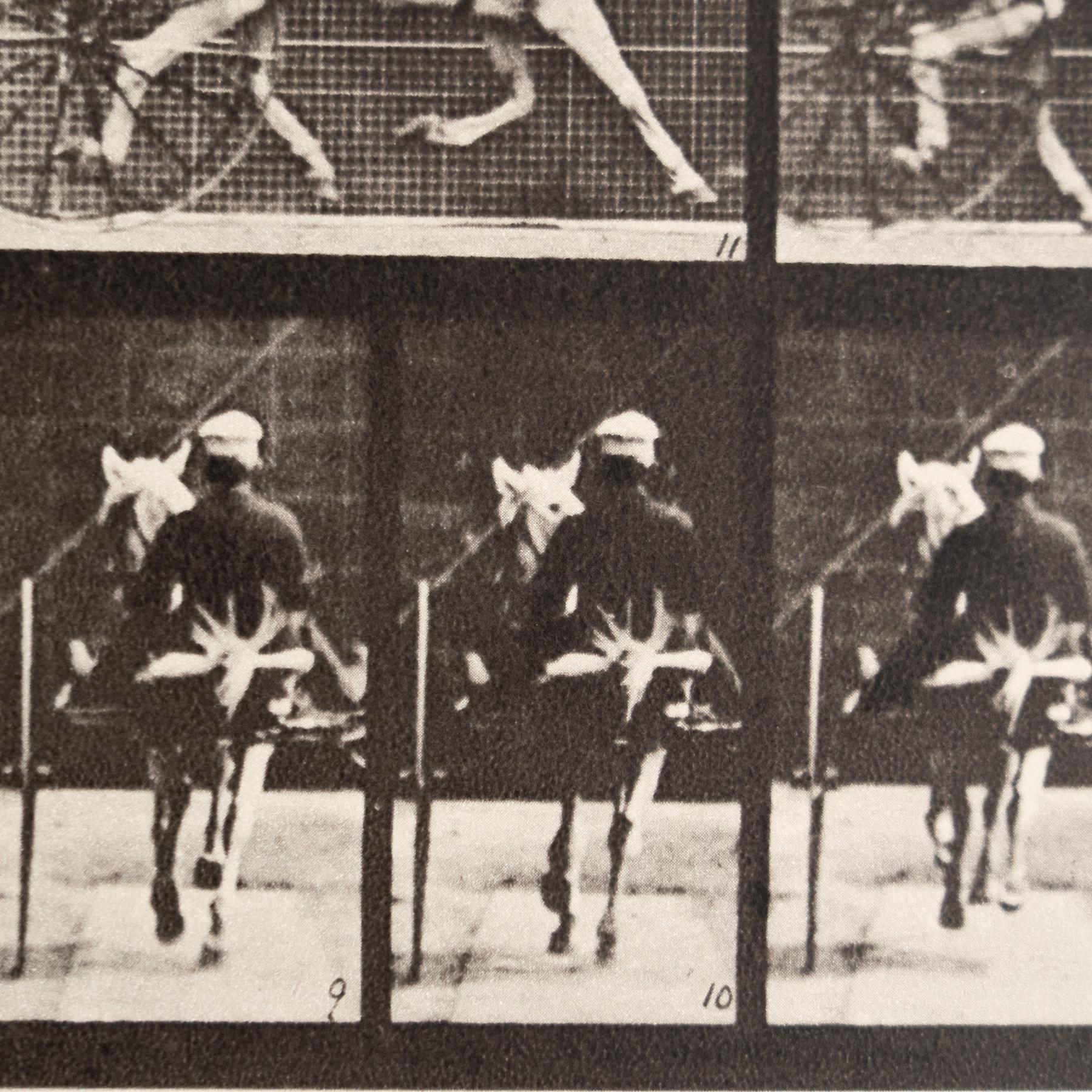 Carta Fotografia in bianco e nero di Eadweard Muybridge con cornice - Studio di un cavallo in movimento in vendita