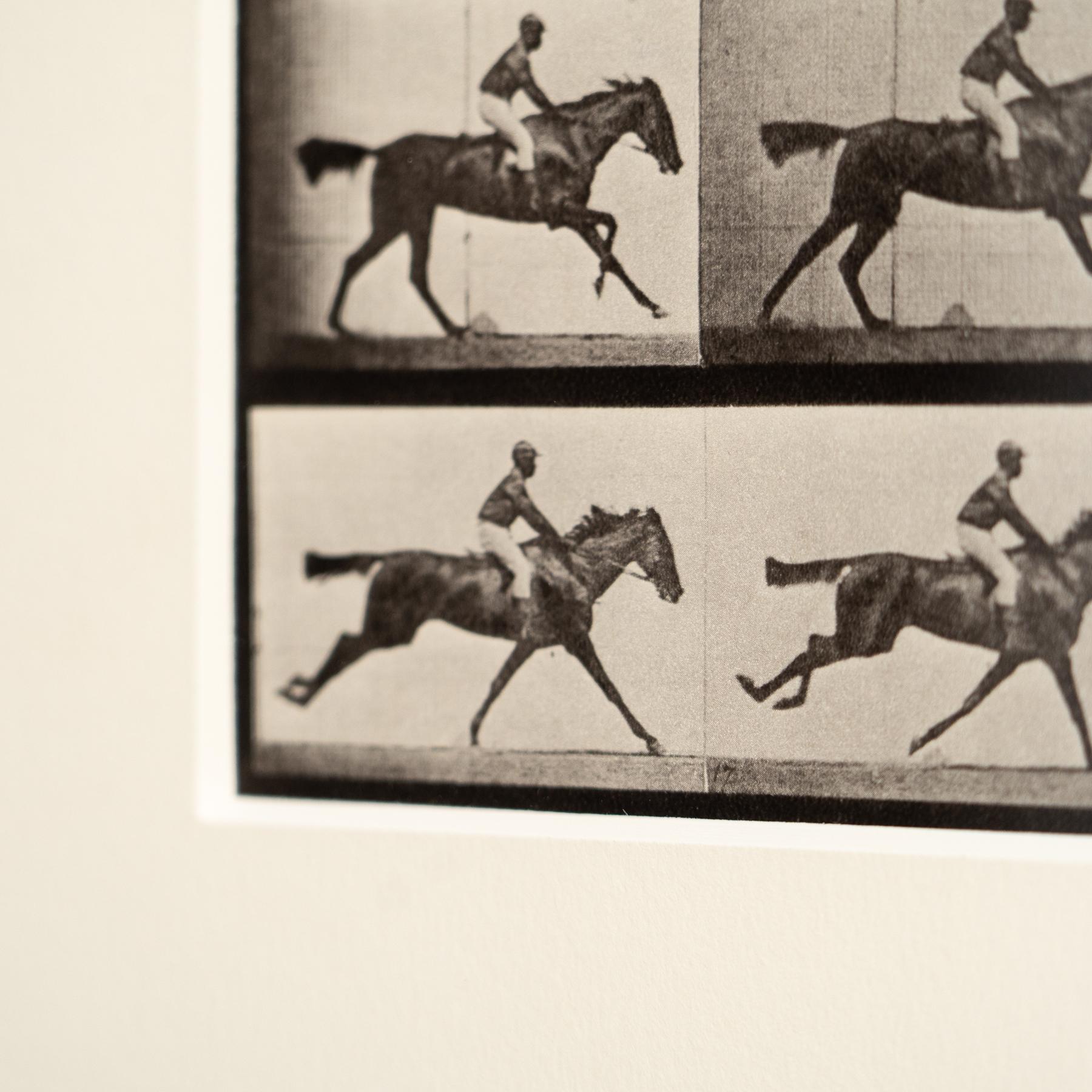 Fotografia in bianco e nero di Eadweard Muybridge con cornice - Studio di un cavallo in movimento in vendita 1