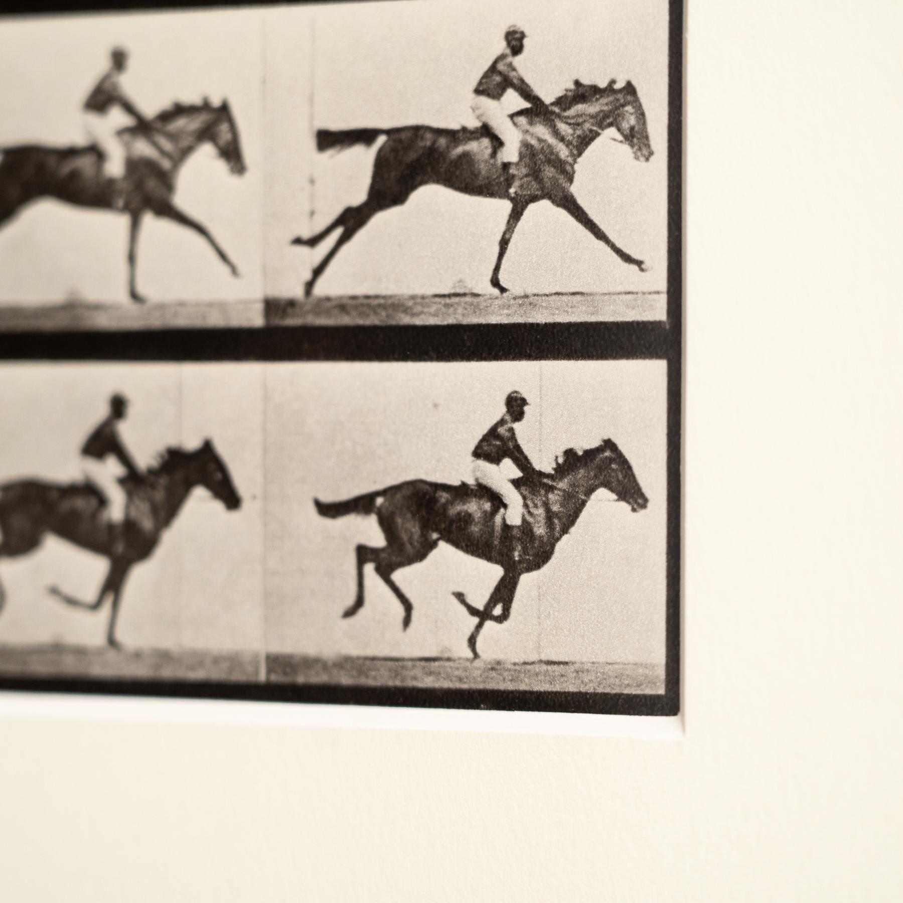 Fotografia in bianco e nero di Eadweard Muybridge con cornice - Studio di un cavallo in movimento in vendita 2