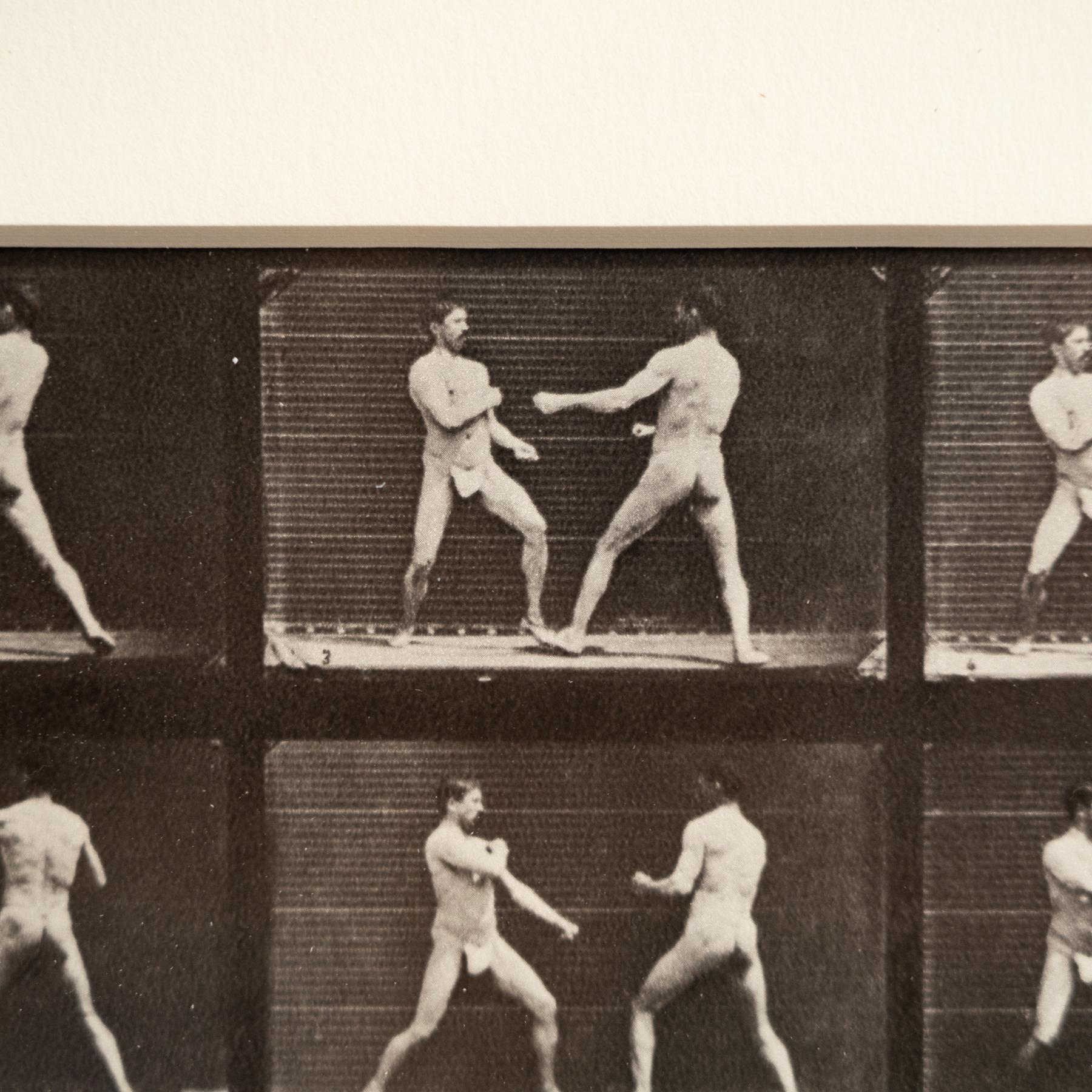 Paper Eadweard Muybridge - Framed Photography, Two Men Fighting in Motion Study For Sale