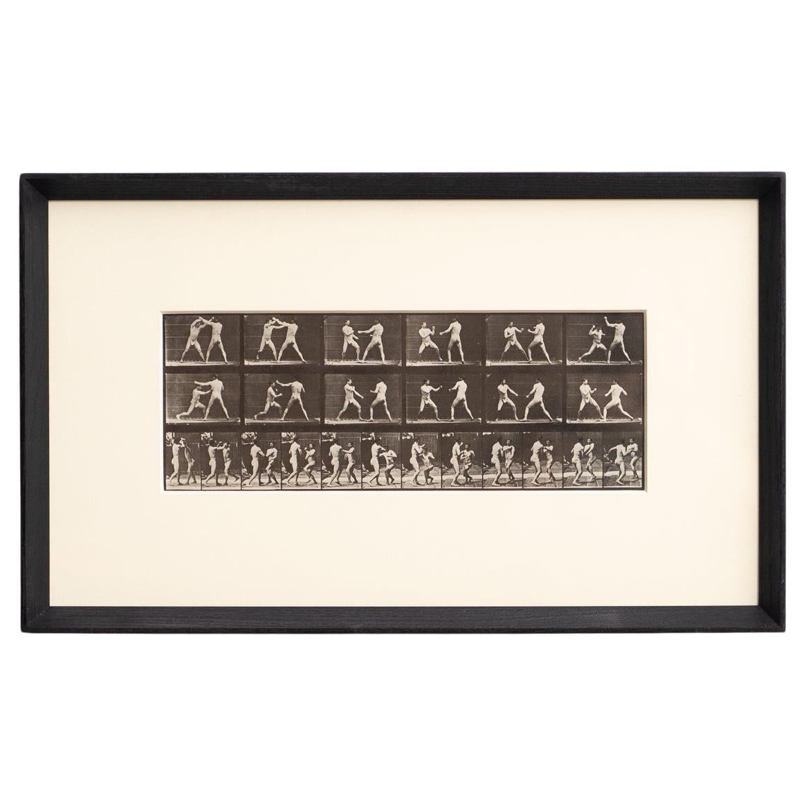 Eadweard Muybridge - Framed Photography, Two Men Fighting in Motion Study For Sale