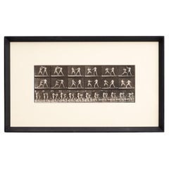 Eadweard Muybridge - Gerahmte Fotografie, Zwei kämpfende Männer in Bewegung Studie