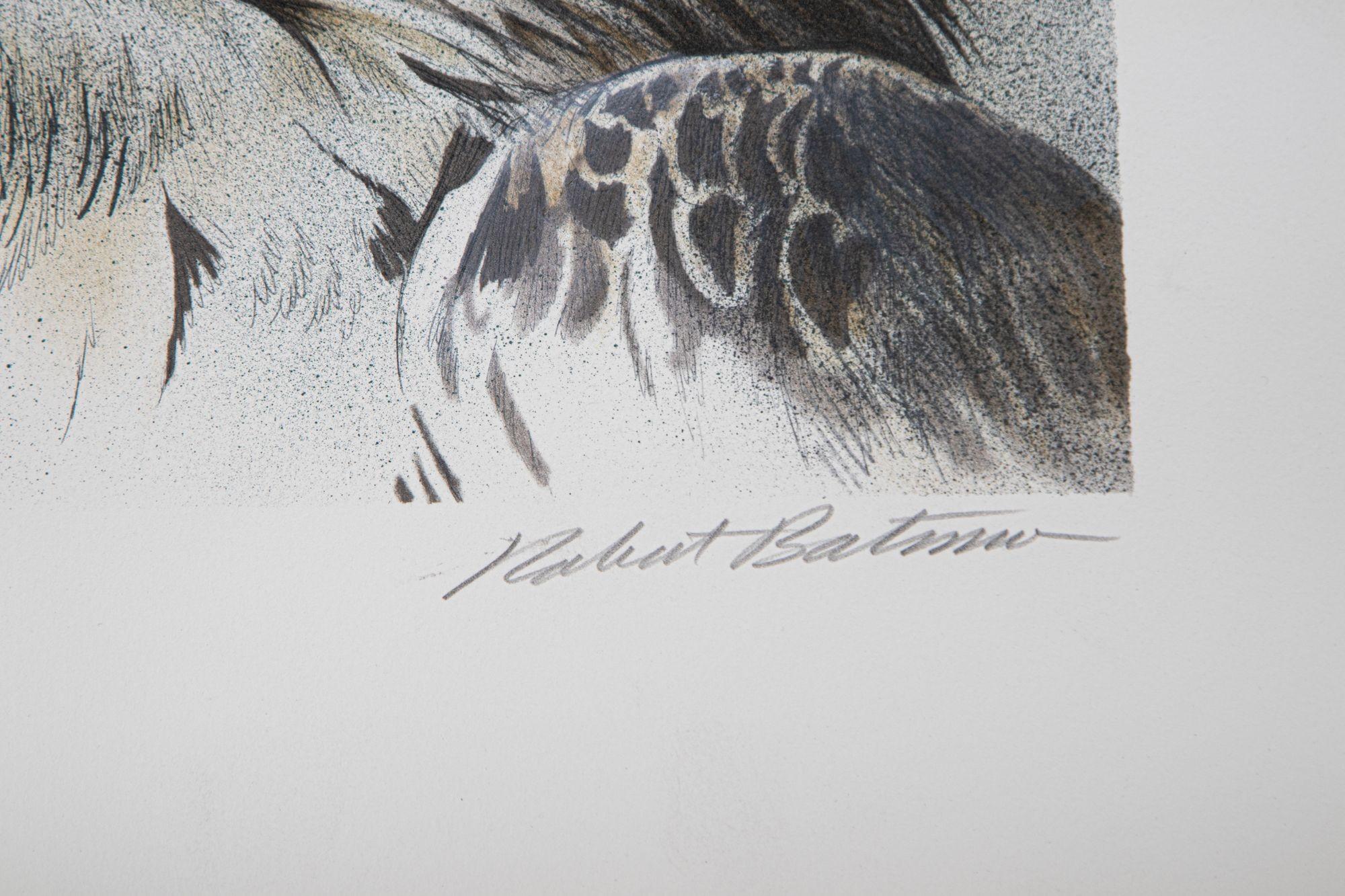 20th Century Eagle Bust Signed Limited Edition Original Lithograph by Robert Bateman For Sale