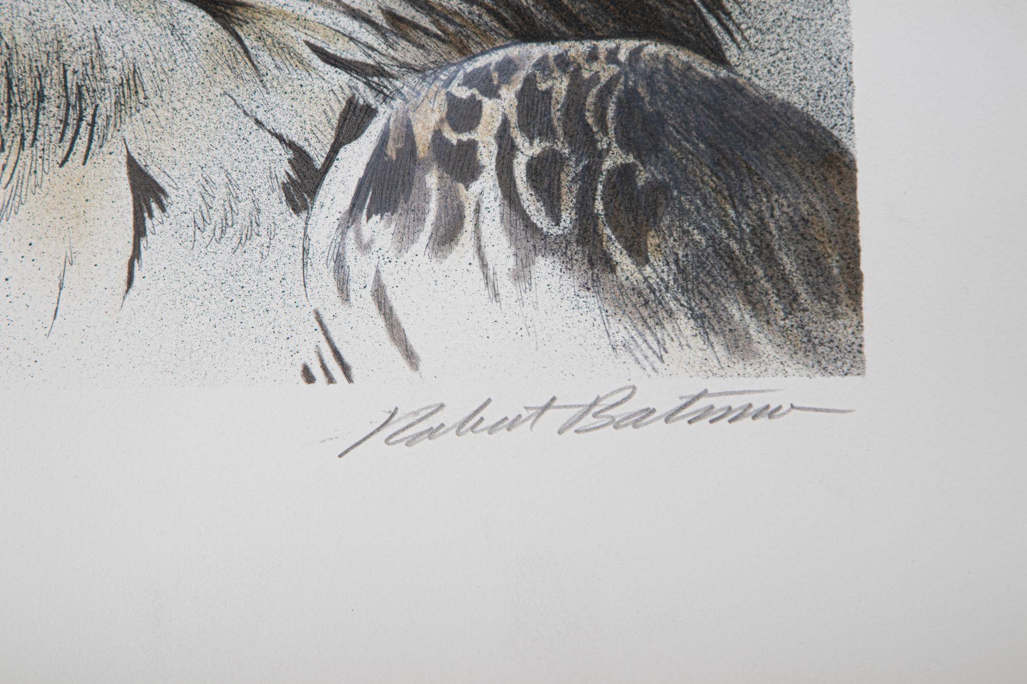 Busto di aquila Litografia originale firmata in edizione limitata di Robert Bateman in vendita 2