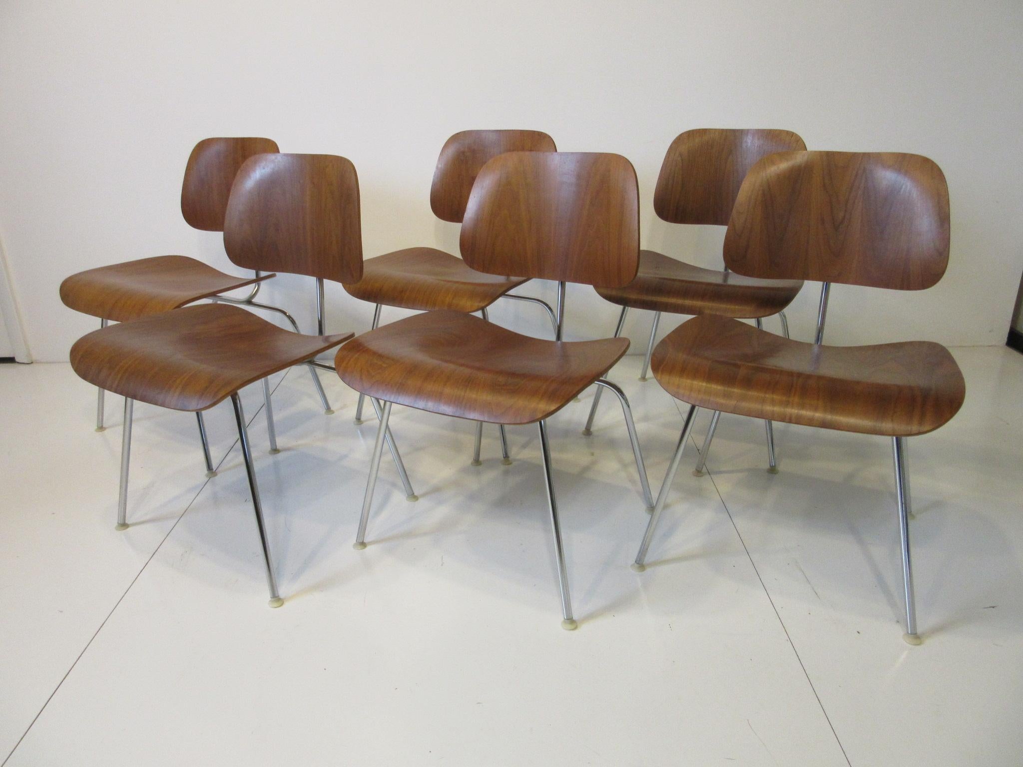 A set of six well grained walnut DCM dining chairs with chromed steel frames and white plastic adjustable feet some of the best grained wood we have seen in along time. All were purchased at the same time and have aged together as a matching set,