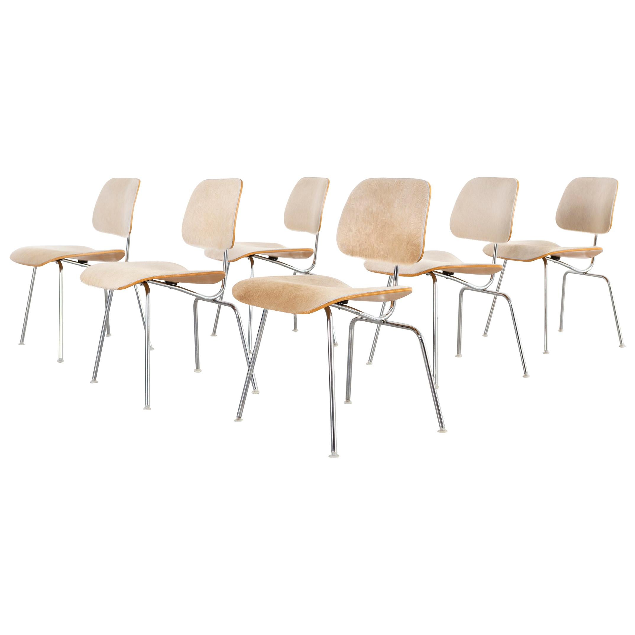 Eames for Herman Miller DCM Chairs in Brazilian Cowhide