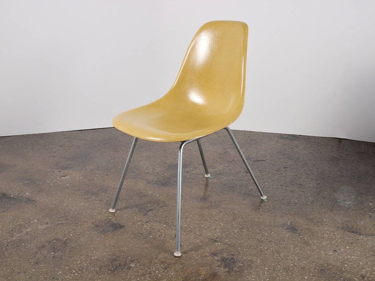 Original 1960s molded fiberglass shell chairs in yellow, designed by Charles and Ray Eames for Herman Miller. Gleaming shells are in original condition, each with a distinct thready texture. Shown here mounted on vintage H base, additional base