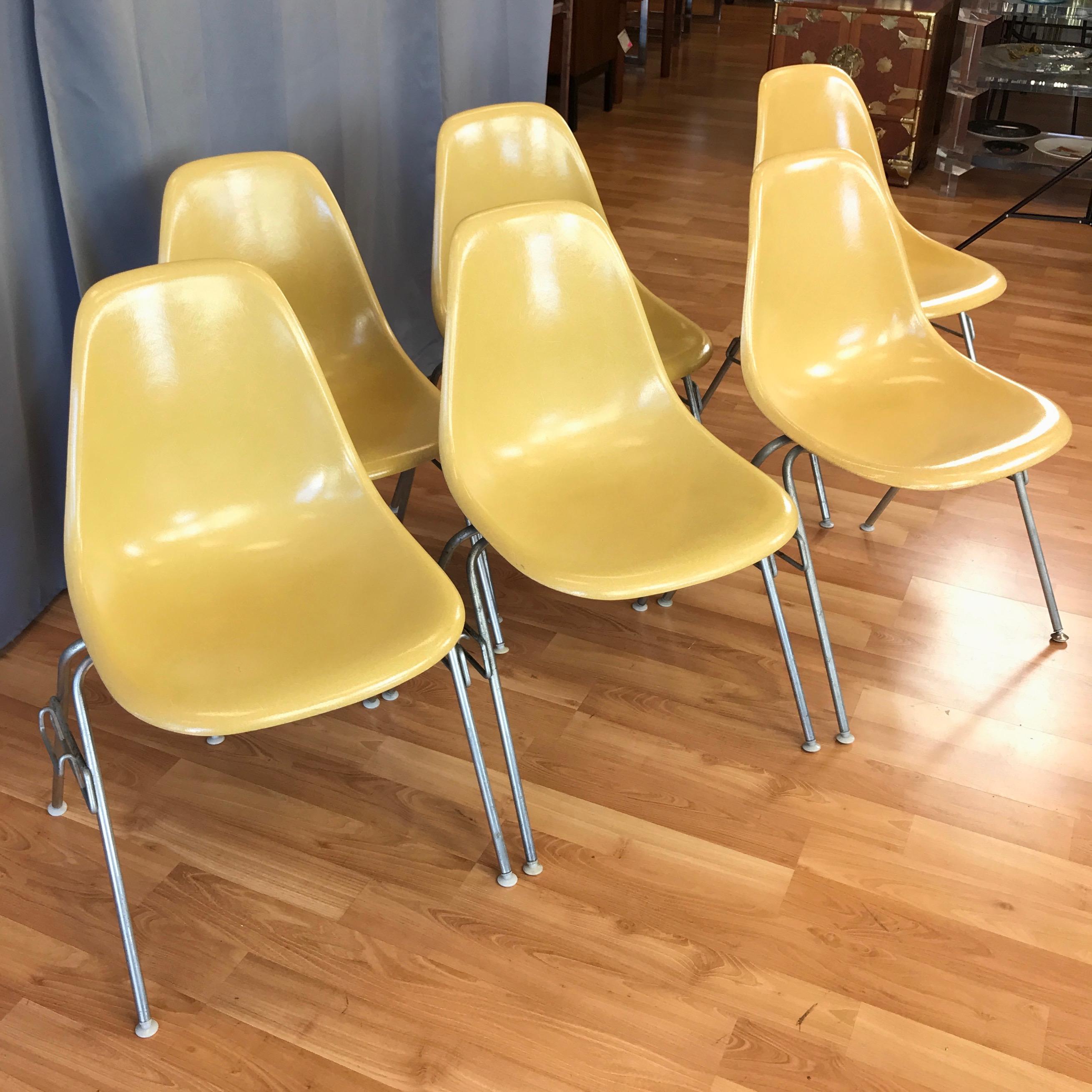 A set of six vintage DSS (“Dining Height, Side Chair, Stacking Base”) shell chairs by Charles and Ray Eames for Herman Miller.

Designed in 1948, this set dates from the 1970s. Fiberglass seat in ochre displays a warm, uniform tone with a super